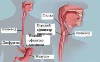 Кандидоз пищевода — диагностика и методы лечения