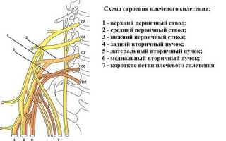 Двигательные, чувствительные и вегетативно-трофические расстройства при плевом плексите