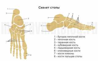 Как определить перелом пальца на ноге: основные признаки и симптомы травмы