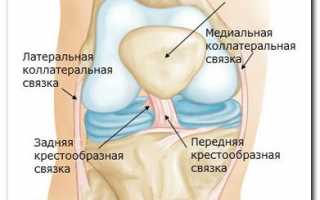 Как проходит МРТ коленного сустава