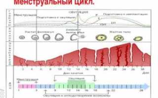 Вздутие живота во время месячных