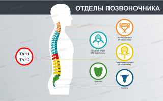 Лечение и последствия у взрослых с компрессионным переломом позвоночника грудного отдела