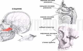 Репозиция костей носа: основные показания и методика проведения