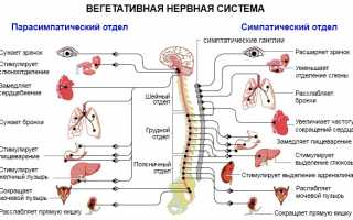 Как правильно лечить ВСД: медикаментозные и немедикаментозные методы лечения