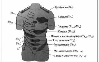 Причины боли в спине выше поясницы