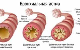 Инструкция по применению препарата Амоксициллин