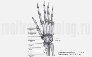 Перелом запястья руки: симптомы травмы и основные методы лечения и восстановления