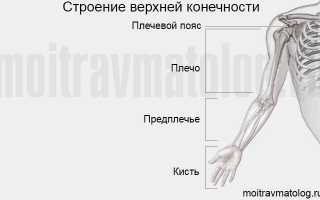 Как понять, что сломана рука и что делать в результате перелома