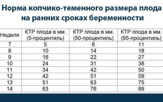 Зачем беременной УЗИ в 11 недель